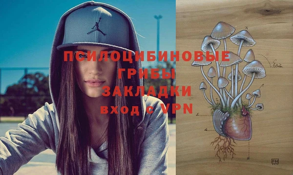 ешки Инсар