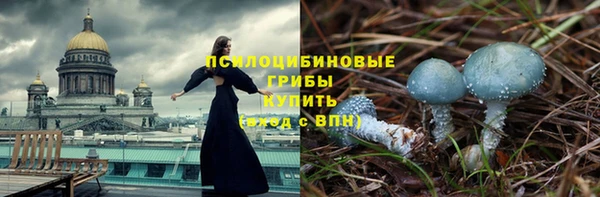 каннабис Богородицк
