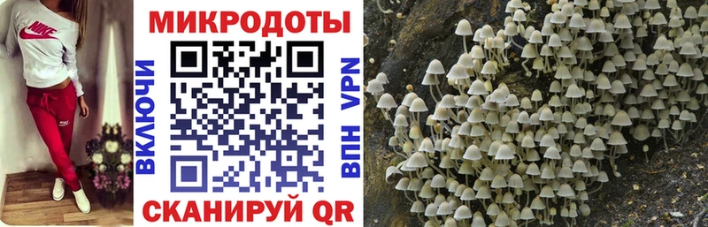 Галлюциногенные грибы Magic Shrooms  Верхний Тагил 